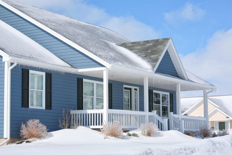 Winter Siding Options